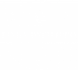 DeFilippo Primary Logo (White)